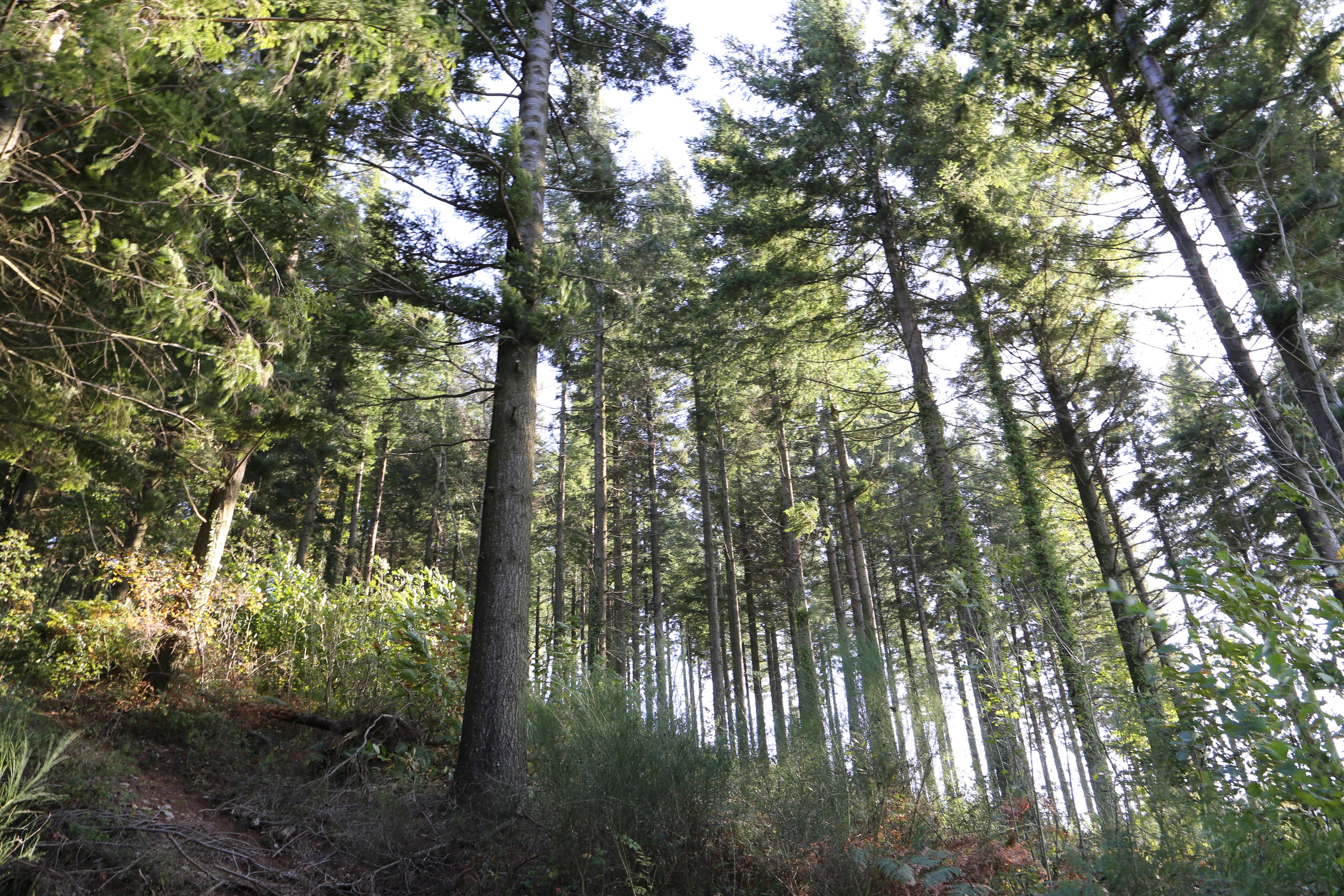 ou investir dans l'herault
