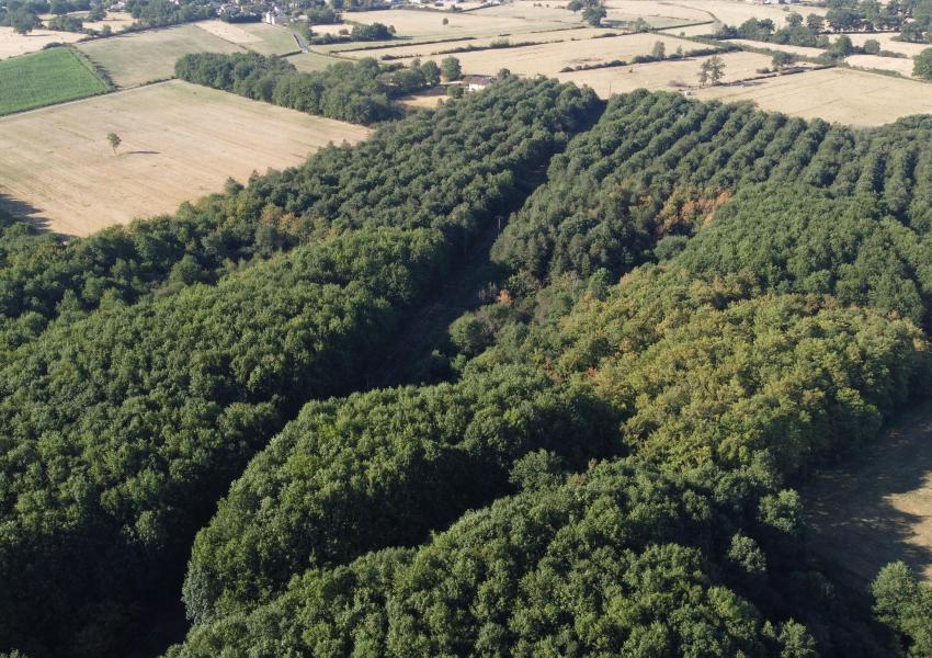 Domaine agricole et forestier proche de Clermont-Ferrand