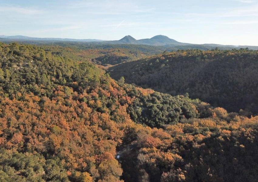 Propriété de loisirs en Provence Verte
