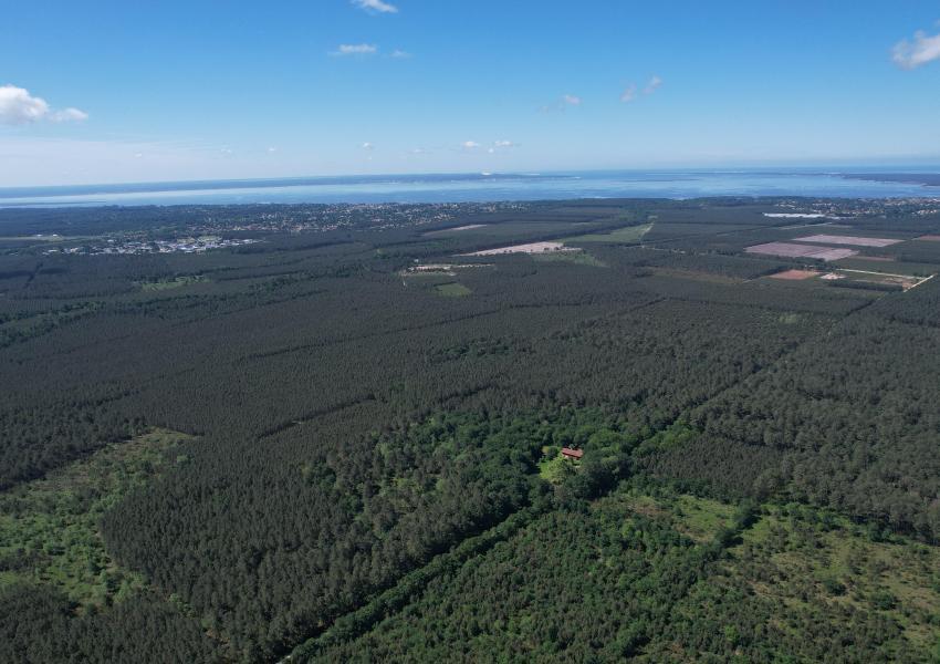 Propriété bâtie en bordure d'océan et au cœur des pins