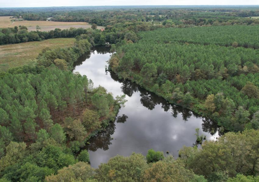 Maison d'habitation et son airial au cœur des Landes