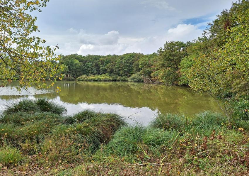Exploitation céréalière & forestière