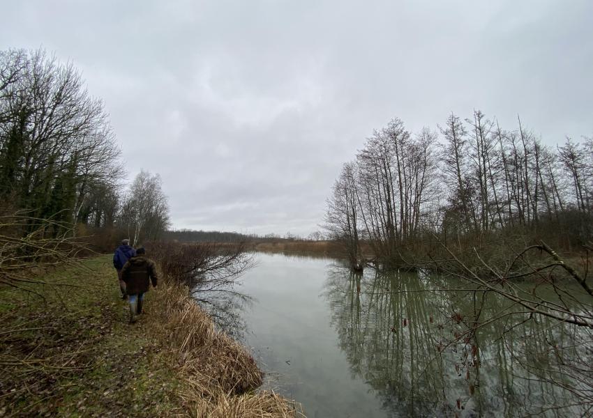 Étang avec hutte de chasse dans La Marne