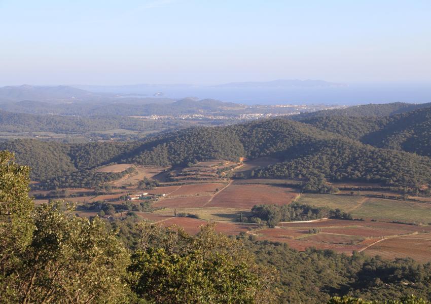 Massif forestier méditerranéen de 404 hectares