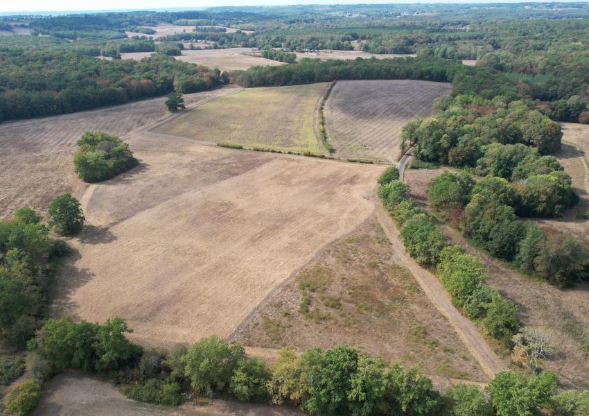 Propriété agricole et forestière proche de Saint-Émilion