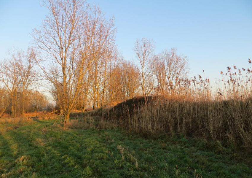 VENTE PAR APPEL D'OFFRES - Terrain de chasse en Flandre maritime