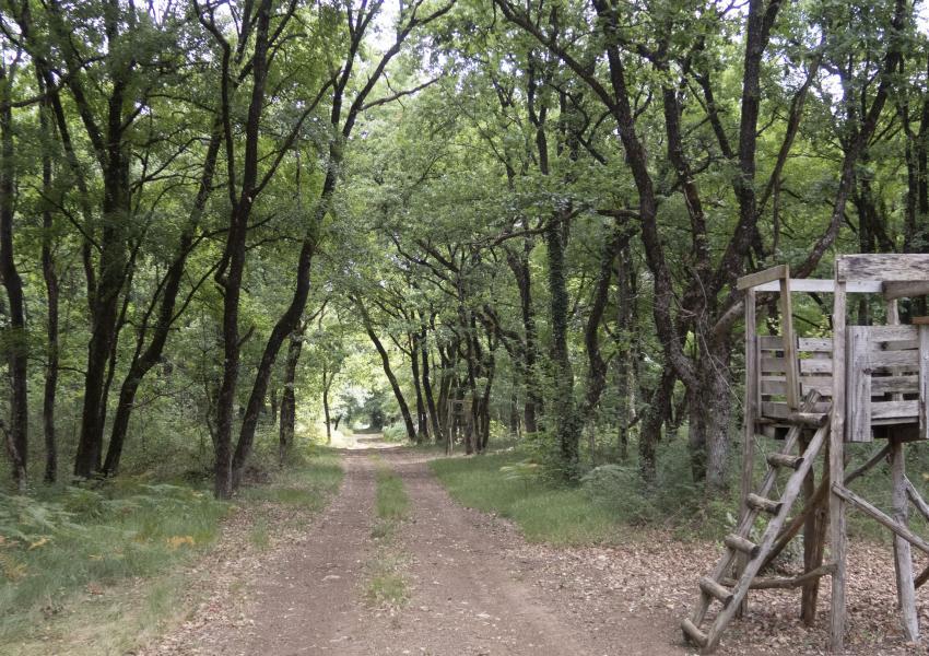Domaine rural en Charente-Maritime