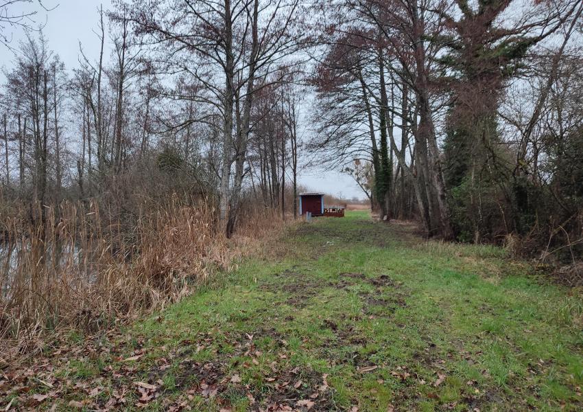 Étang avec hutte de chasse dans La Marne