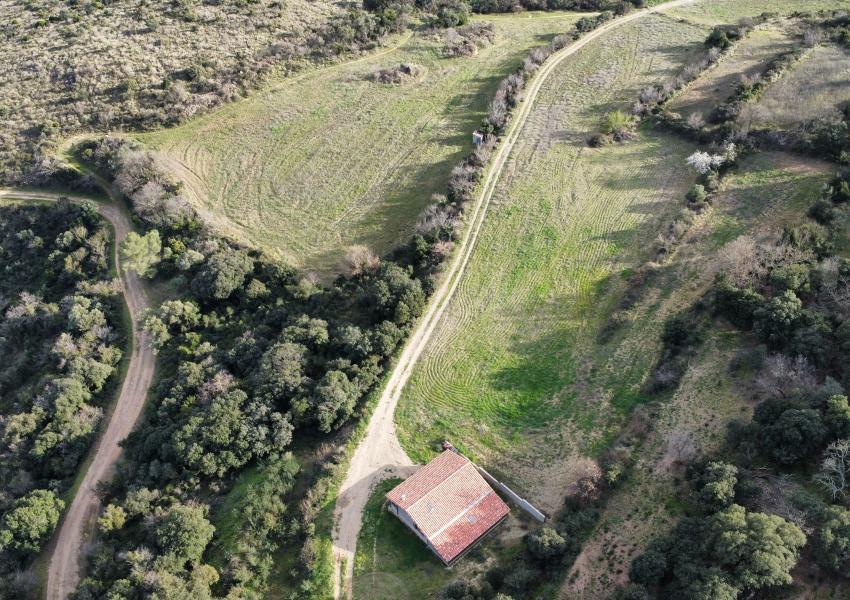 Propriété agricole et forestière aux portes de Clermont-L'Hérault