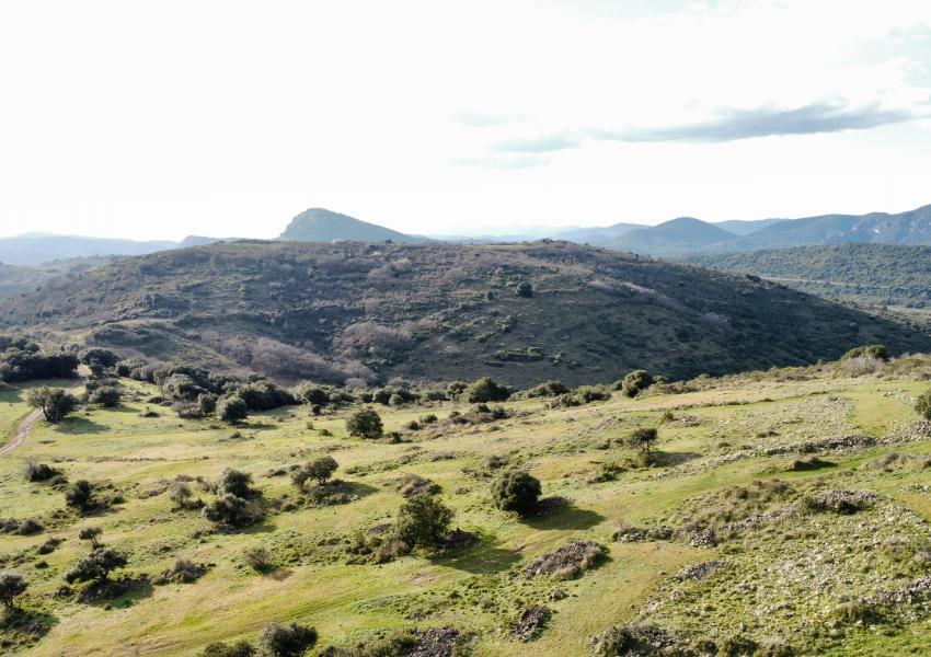 Propriété agricole et forestière aux portes de Clermont-L'Hérault