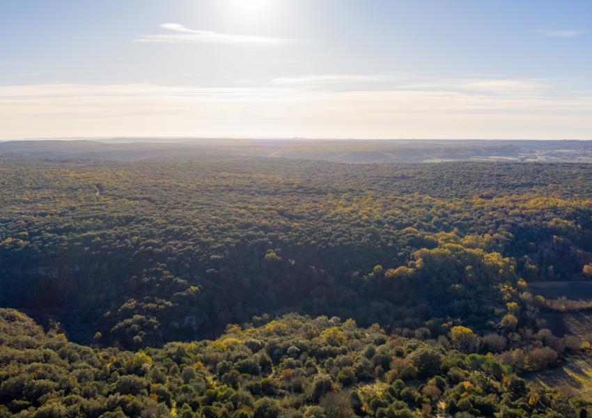 Forêt de loisirs au coeur du Gard