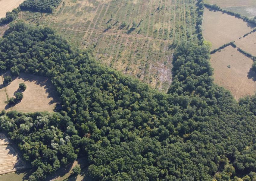 Domaine agricole et forestier proche de Clermont-Ferrand