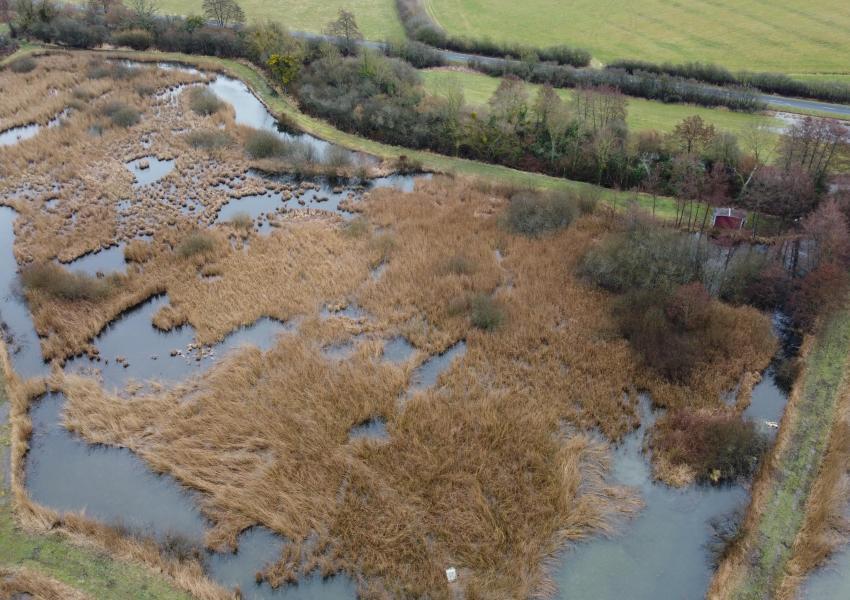 Étang avec hutte de chasse dans La Marne