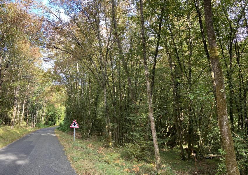 Propriété clôturée avec bâtis en Dordogne