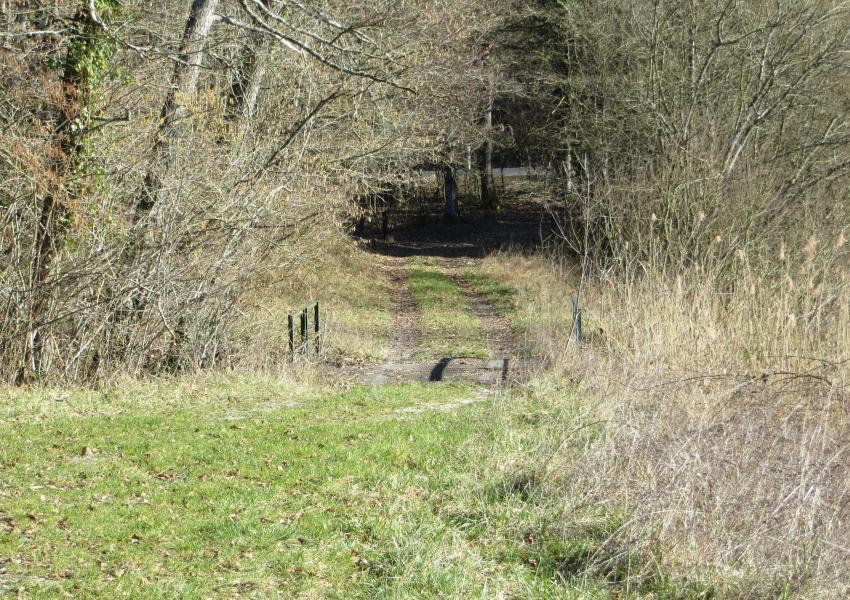 Propriété forestière avec étang