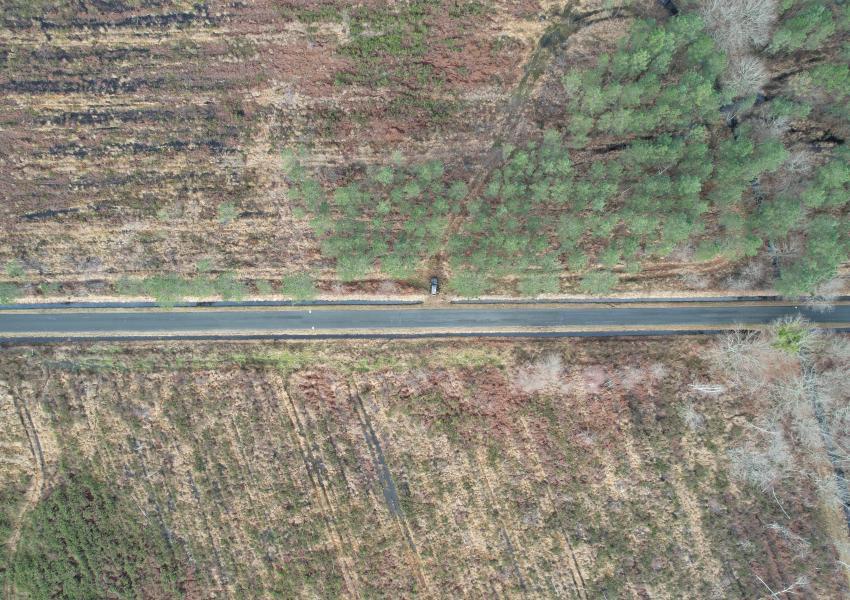 Propriété forestière en Gironde