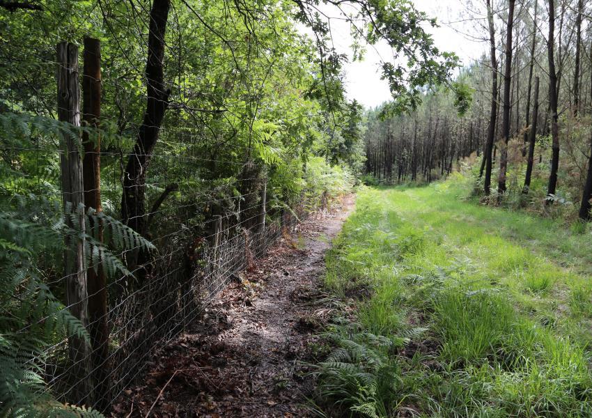 Parc de chasse en Charente-Maritime