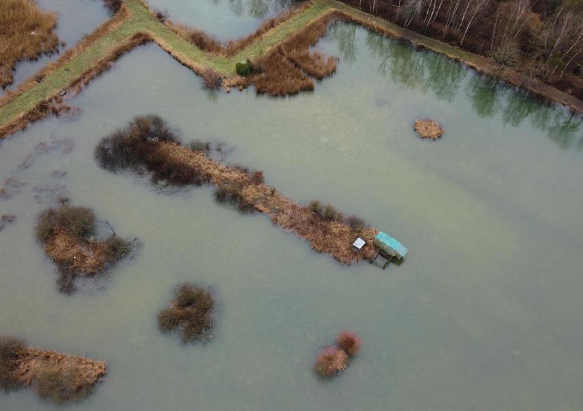 Étang avec hutte de chasse dans La Marne