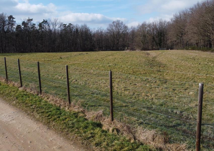 Propriété forestière avec enclos cynégétiques
