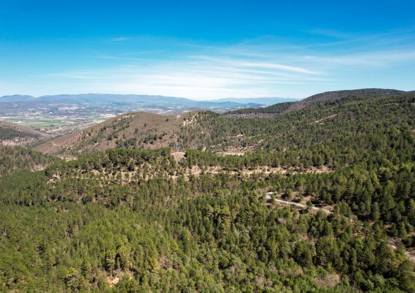 Domaine Forestier Provençal