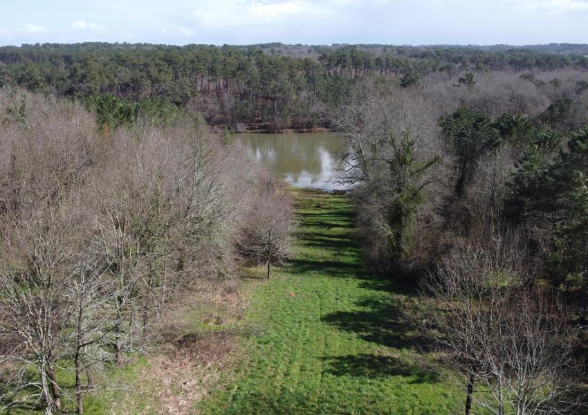 Domaine forestier avec bâtis en Dordogne