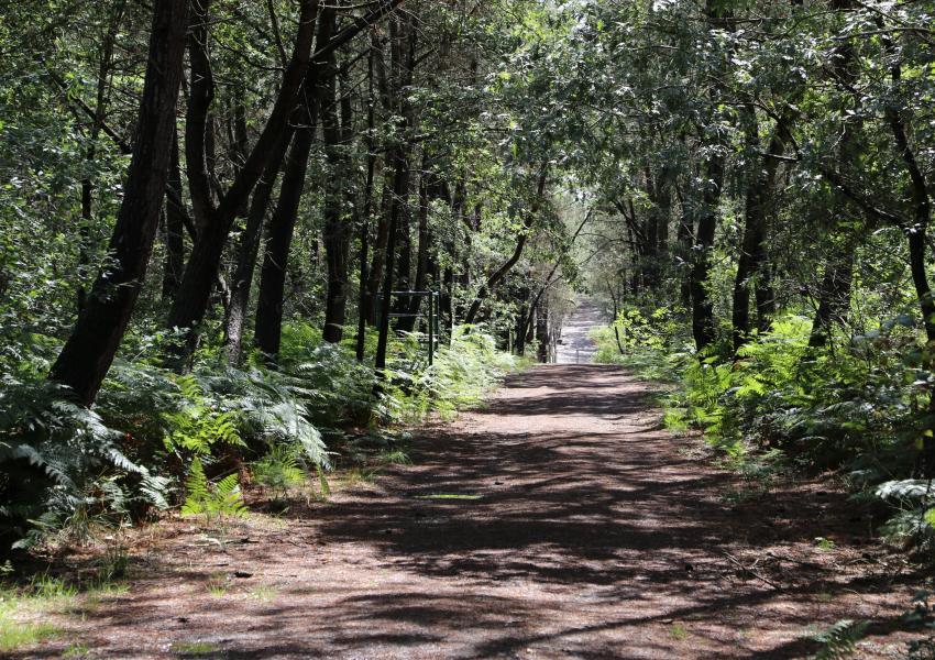 Parc de chasse en Charente-Maritime