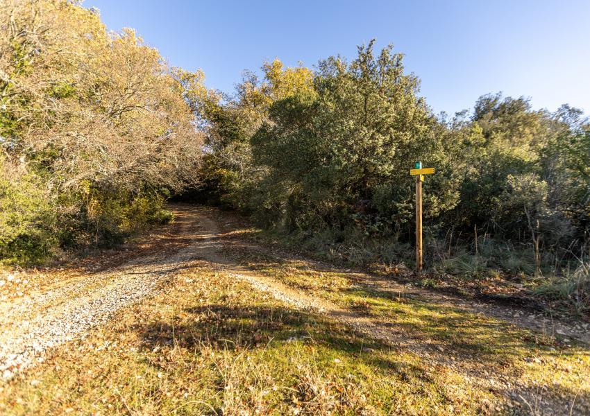Forêt de loisirs au coeur du Gard