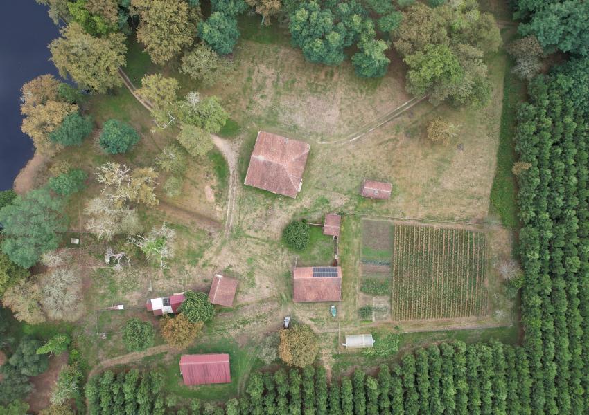 Maison d'habitation et son airial au cœur des Landes