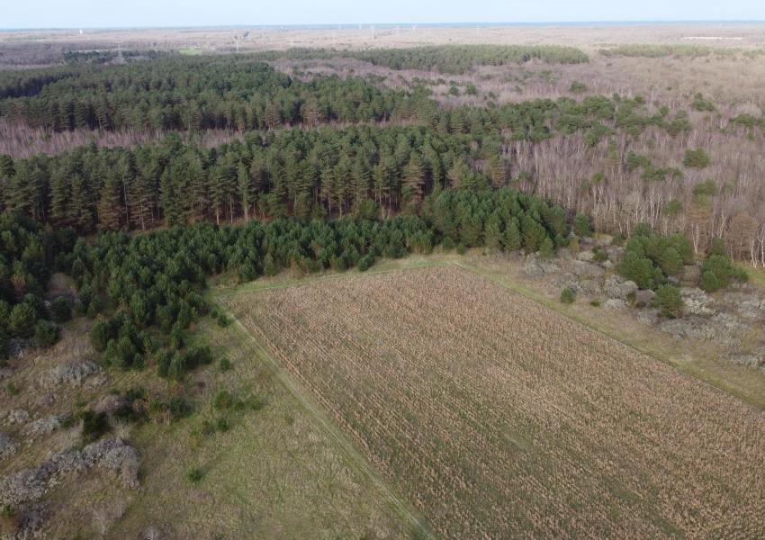 Domaine de chasse dans le Loiret