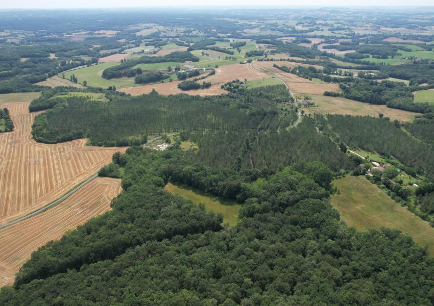 Forêt de production dans Le Lot-et-Garonne