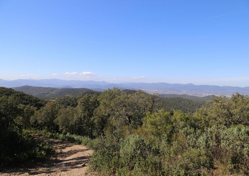 Massif forestier méditerranéen de 404 hectares
