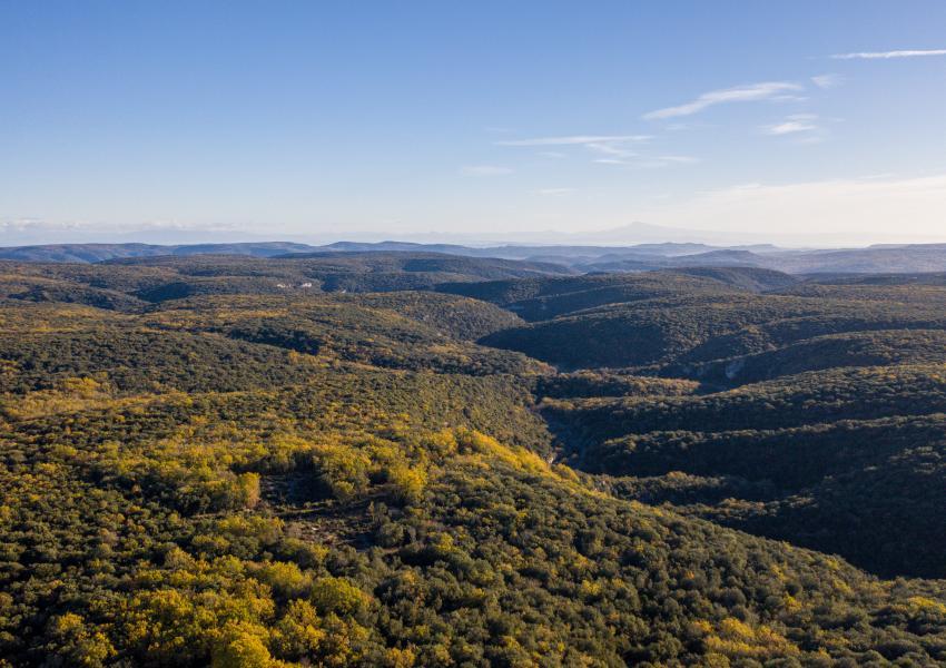 Forêt de loisirs au coeur du Gard