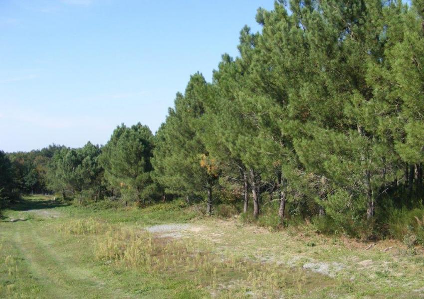 Enclos cynégétique en Dordogne