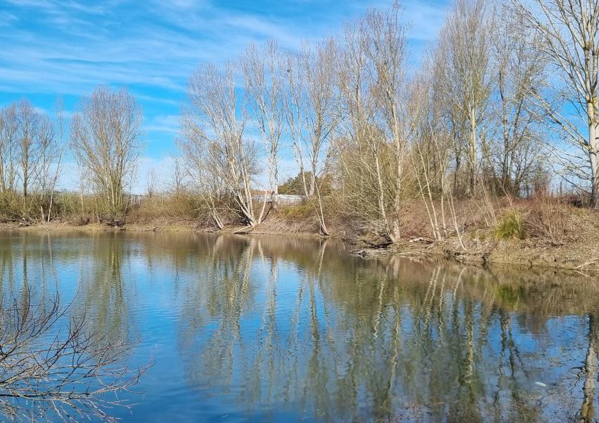 Ancienne gravière de 12 ha proche de Toulouse