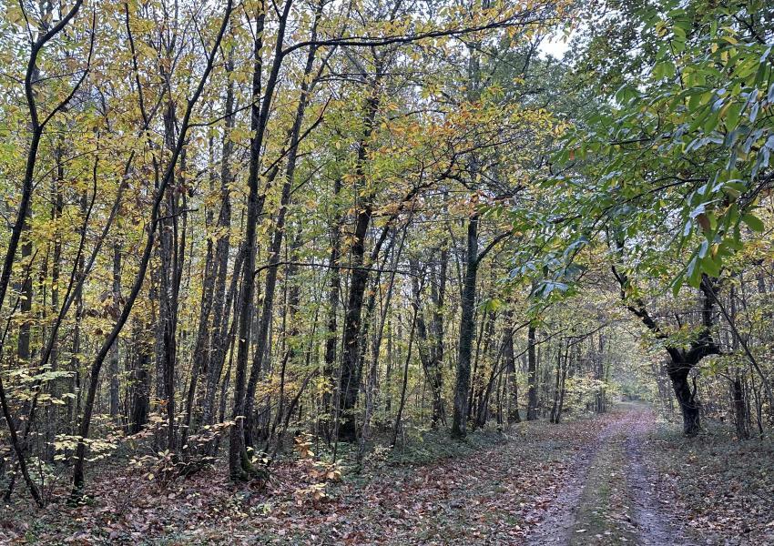 Domaine de chasse dans le Loiret