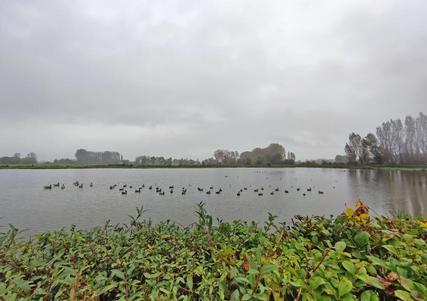 Propriété rurale dans Le Pas-de-Calais