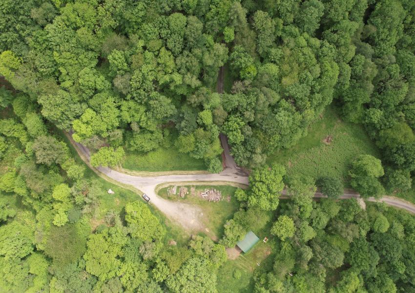 Forêt Mixte en Ariège