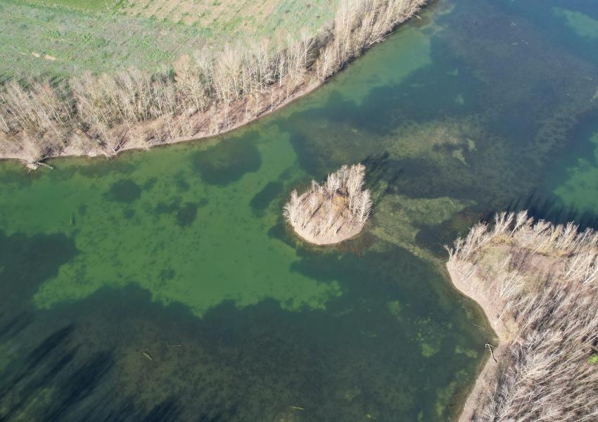 Ancienne gravière de 12 ha proche de Toulouse