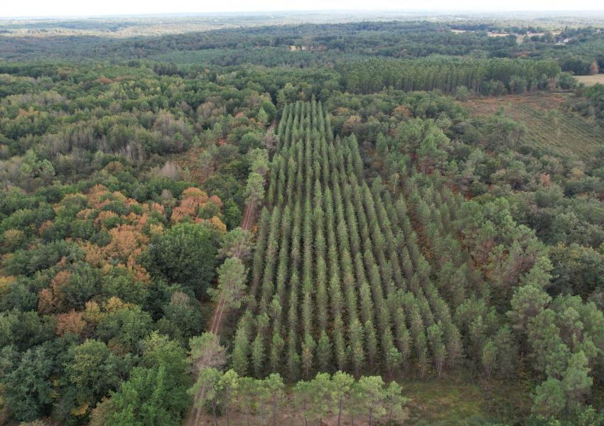 Propriété clôturée avec bâtis en Dordogne