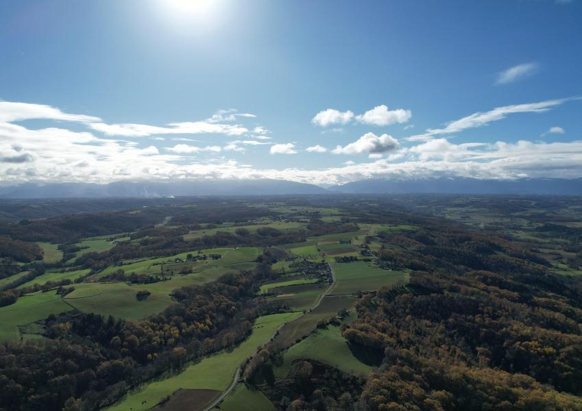 Forêt de production dans les Hautes-Pyrénées