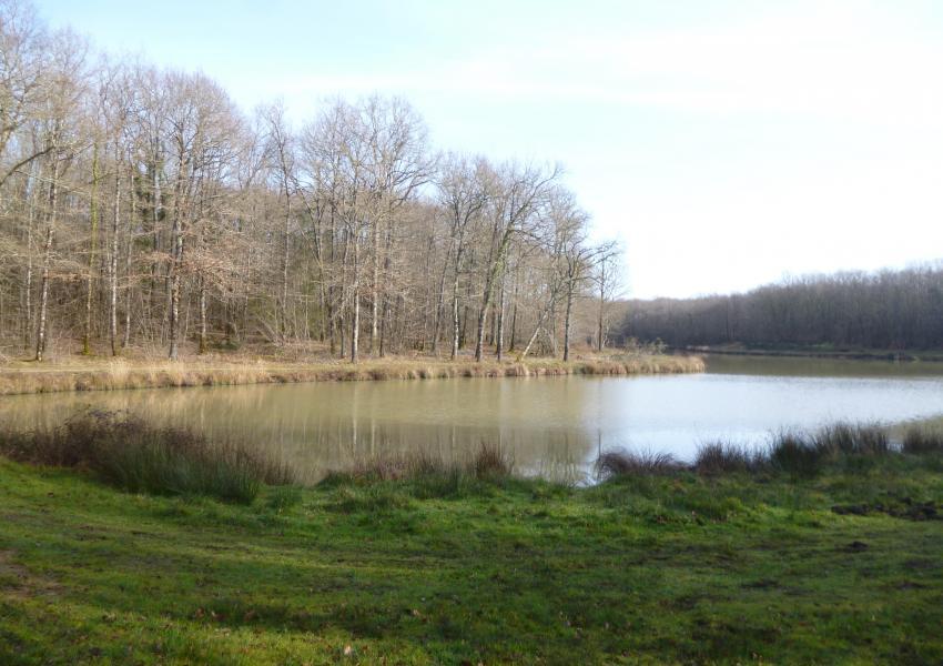 Propriété rurale avec bâtis en Charente