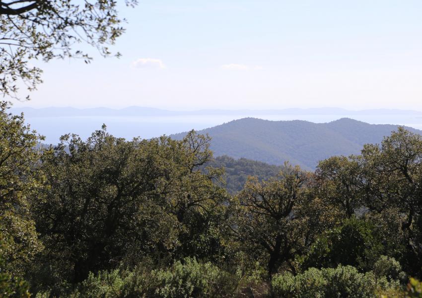 Massif forestier méditerranéen de 404 hectares