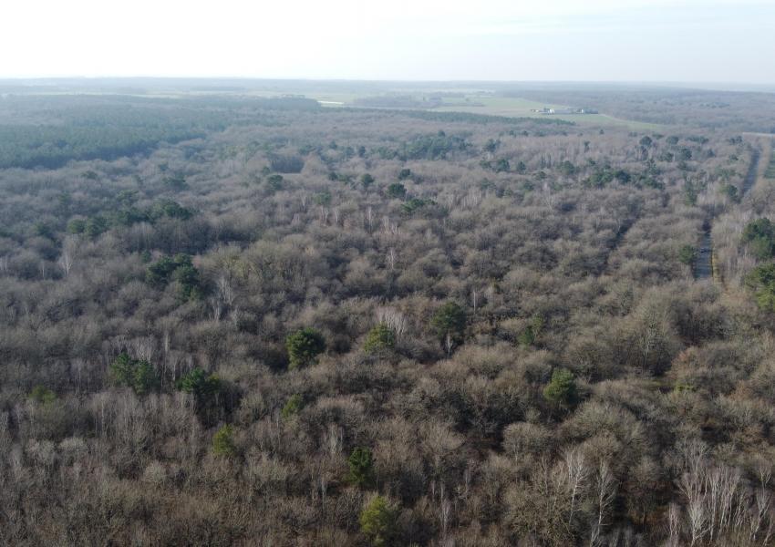 Propriété forestière dans le Parc Naturel Loire-Anjou-Touraine