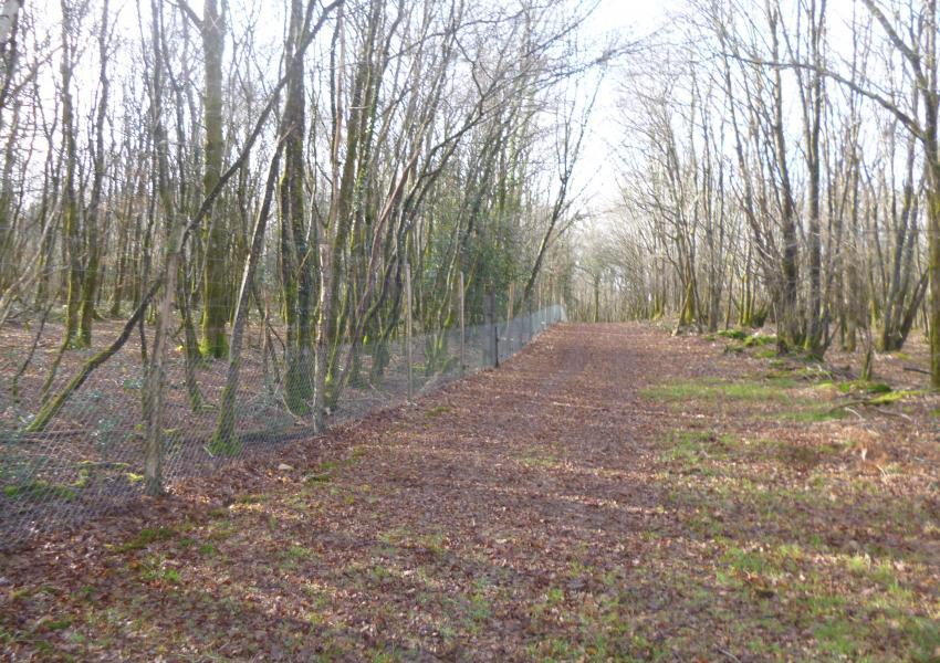 Propriété rurale avec bâtis et étang en Charente