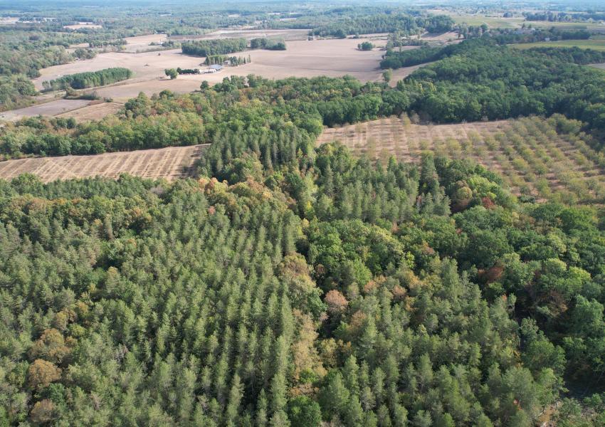Propriété agricole et forestière proche de Saint-Émilion
