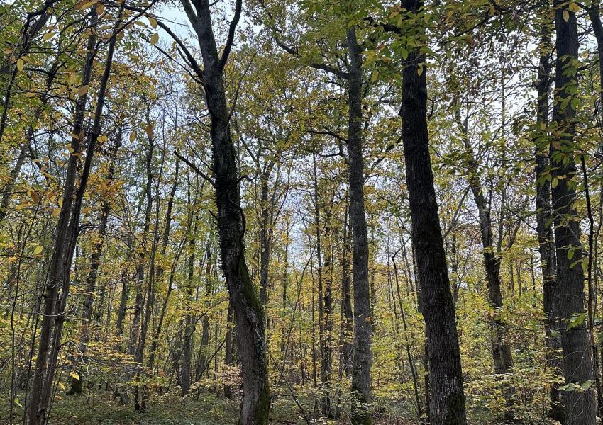 Domaine de chasse dans le Loiret