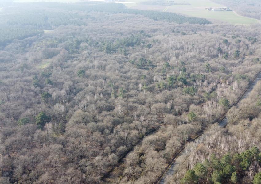 Propriété forestière dans le Parc Naturel Loire-Anjou-Touraine
