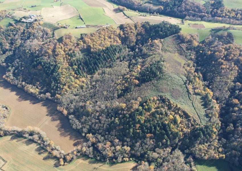 Forêt de production dans les Hautes-Pyrénées