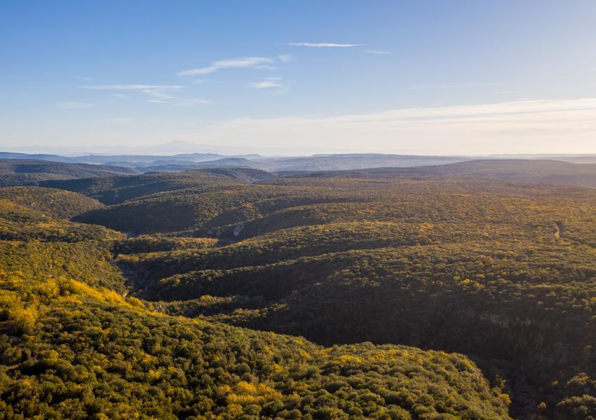 Forêt de loisirs au coeur du Gard