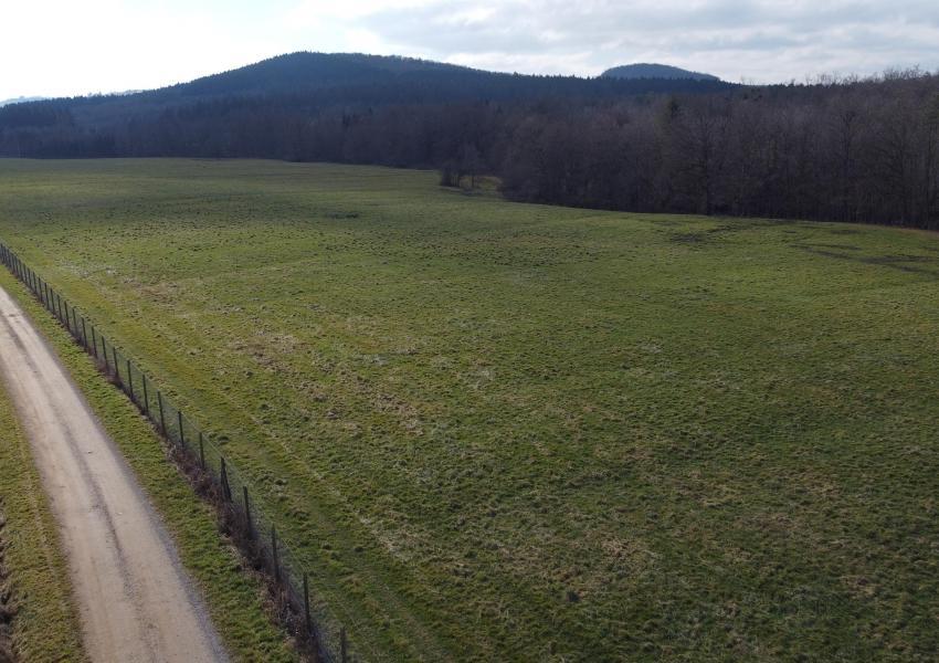 Propriété forestière avec enclos cynégétiques